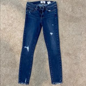 Paige jeans